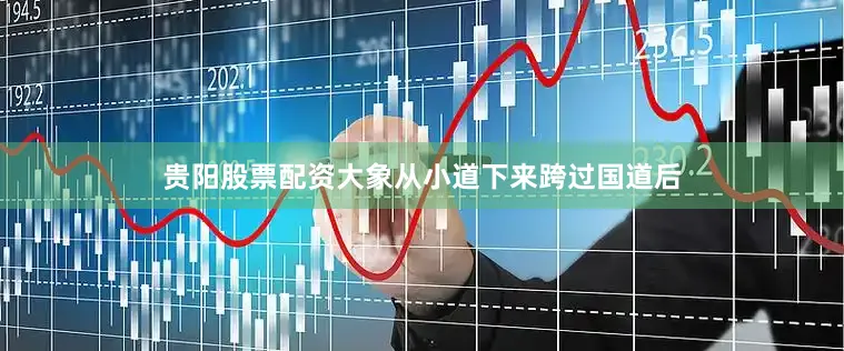 贵阳股票配资大象从小道下来跨过国道后